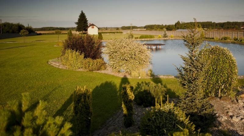 Өсімдік питомнигі