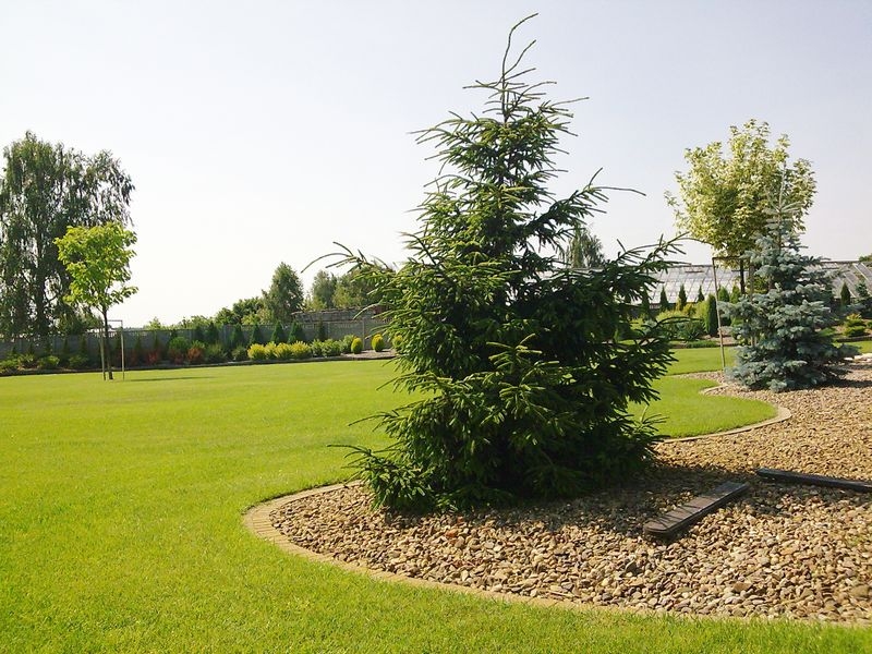 Бақша орталығы